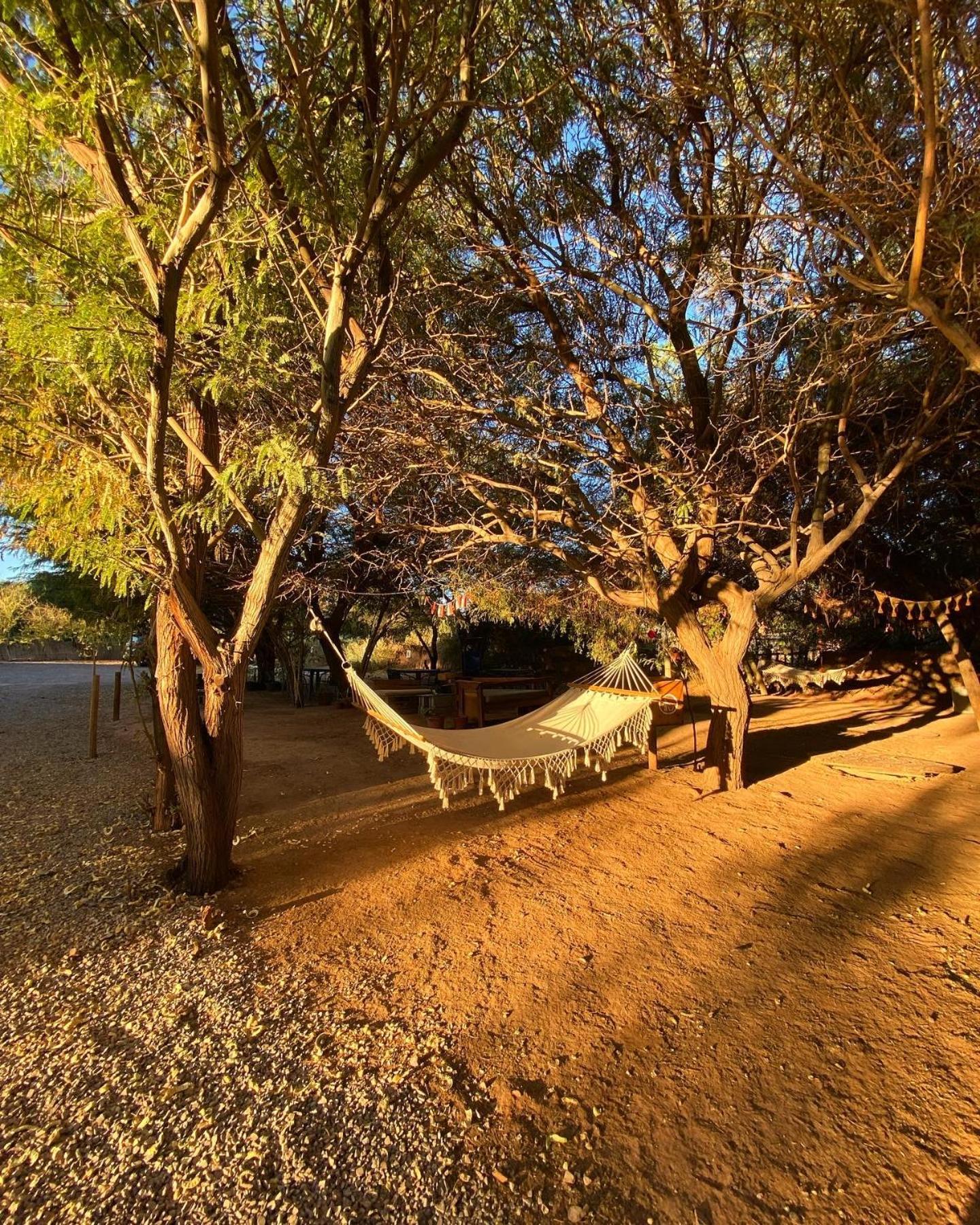 سان بيدرو دي أتاكاما Caminandes Hostal المظهر الخارجي الصورة