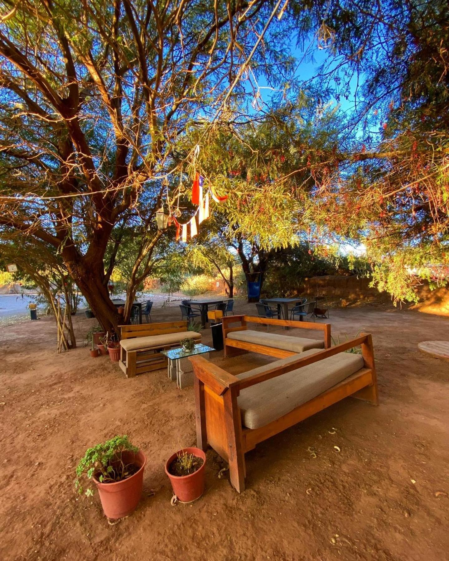 سان بيدرو دي أتاكاما Caminandes Hostal المظهر الخارجي الصورة
